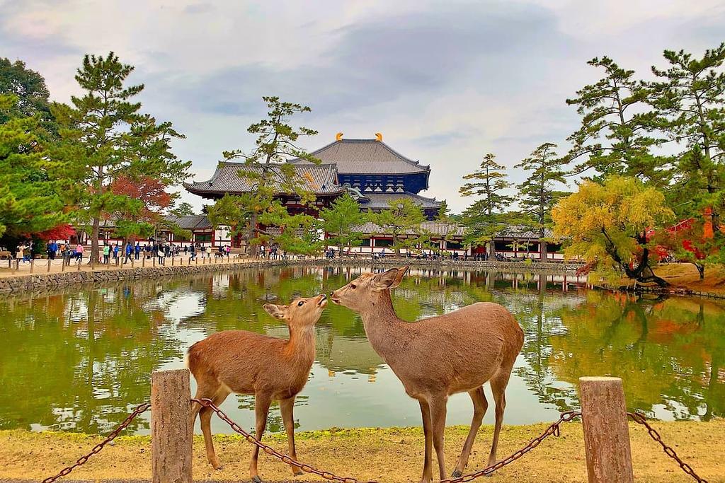 Nara