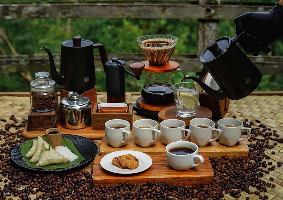 Pulina Coffee Plantation