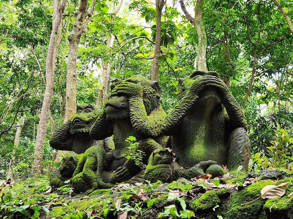 Sacred Monkey Forest